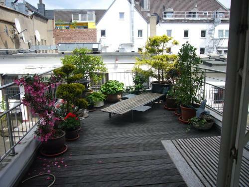 Bed & Breakfast Apartement Mit Dachterrasse
