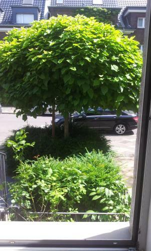 Apartamento Suite An Der Duessel