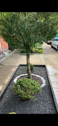 Apartamento Casa Arturo D�sseldorf