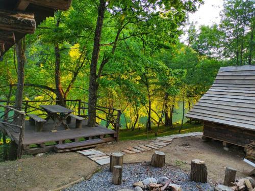 Kolibe - Robinson Camp Kupa