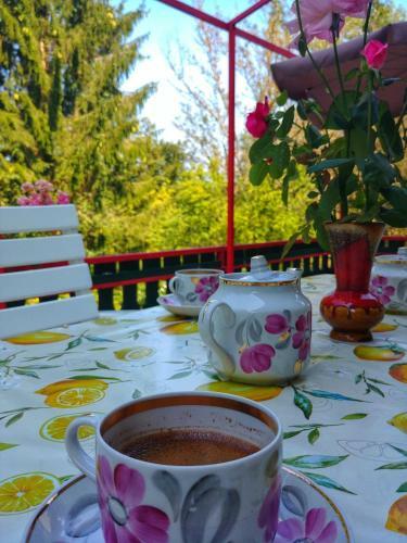 Ku?a Za Odmor "livadica"