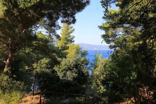 Apartamentos Studio Balica Rat 1065a