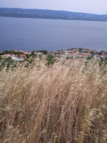 Apartments Suco