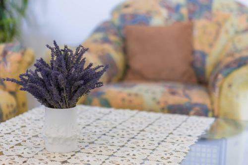 Apartamentos Villa Contessa