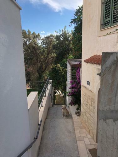 Apartmani Ruskamen