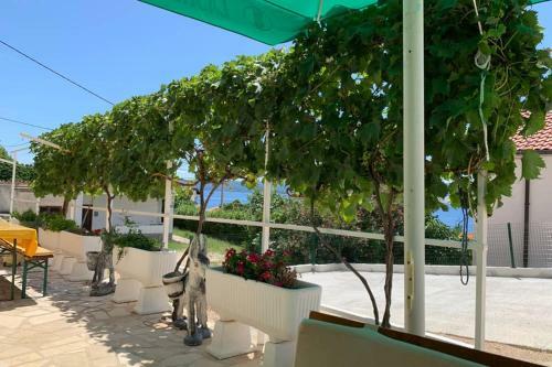Apartment 3 With Pool And Amazing Sea View
