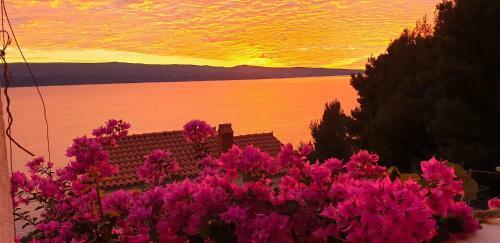 Hostal Villa Bugenvilla