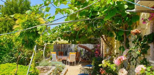 Hostal Villa Bugenvilla