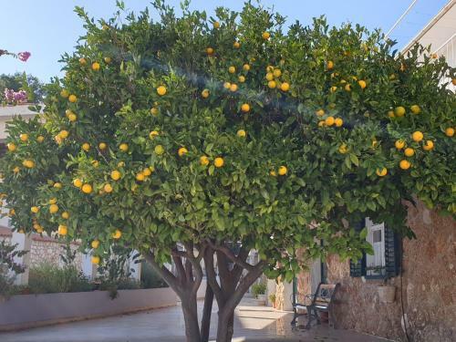 Apartamento 209 Zavala Ferienwohnung