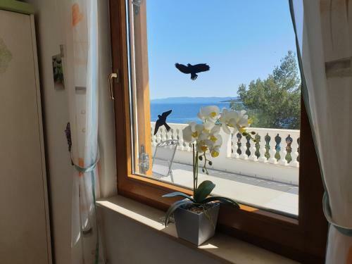 Apartamento 209 Zavala Ferienwohnung