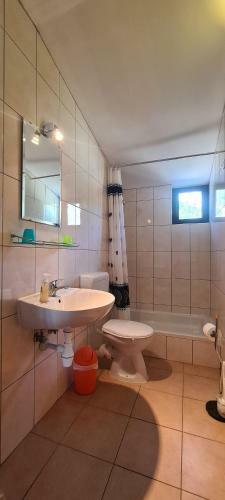 Apartments And Room Meri