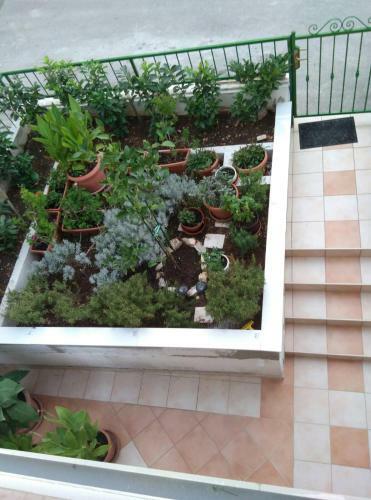 Apartamento Petra I Stela