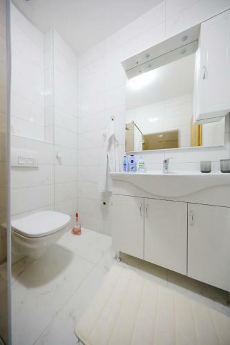 Apartmani Vlado Mitar