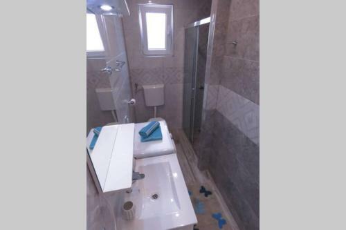 1-bedroom Apartment- Great Offer!
