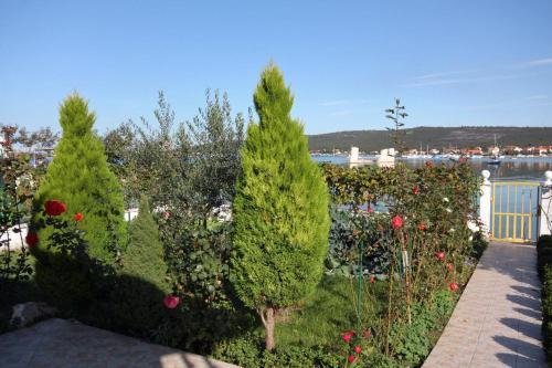 Apartments By The Sea Sukosan, Zadar - 9711