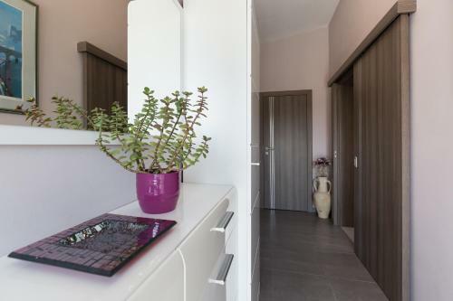 Modern And Spacious Apartment