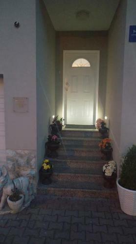 Hostal Guest House Karlo