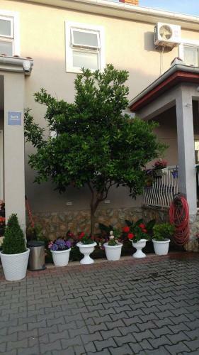 Hostal Guest House Karlo
