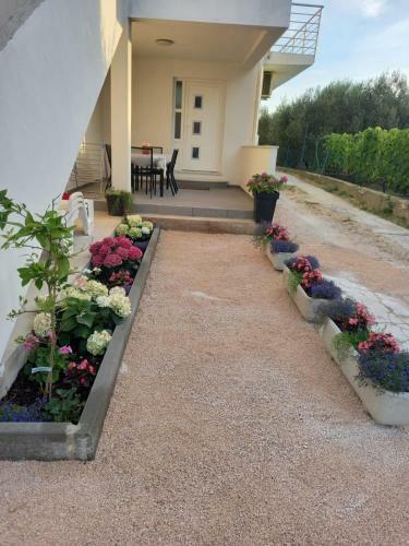 Apartmani Sara