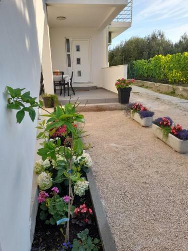 Apartmani Sara