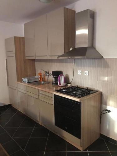 Apartment Zaton 12988a