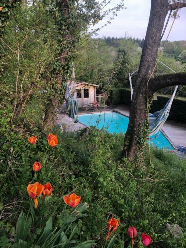 Loft "home & Pool"