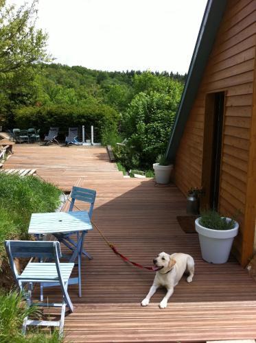 Loft "home & Pool"