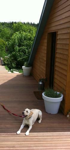 Loft "home & Pool"