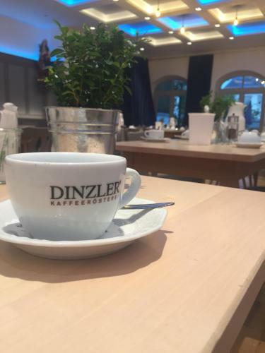 Hostal Gasthof-hotel H�hensteiger