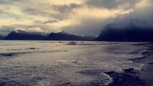 Narnia Lodge Lofoten