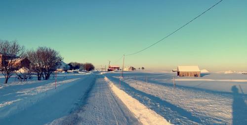 Narnia Lodge Lofoten