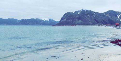 Narnia Lodge Lofoten