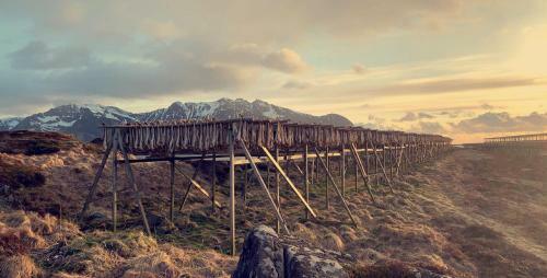 Narnia Lodge Lofoten