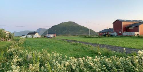 Narnia Lodge Lofoten