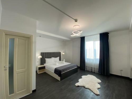 Hotel Ocaua Lui Cuza