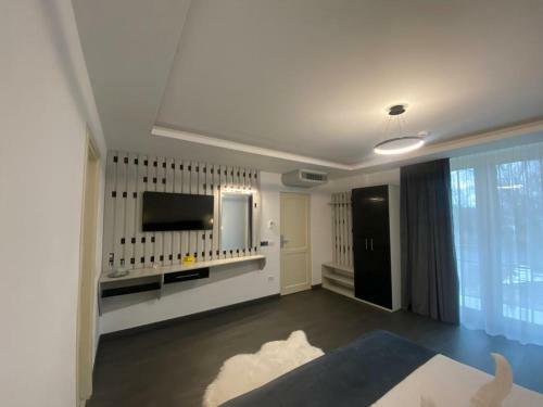 Hotel Ocaua Lui Cuza
