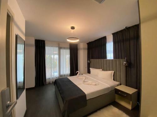 Hotel Ocaua Lui Cuza