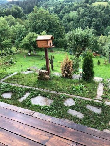 Green Yard Doftana