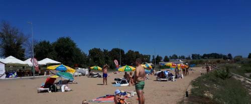 Hostal Vila "livia"