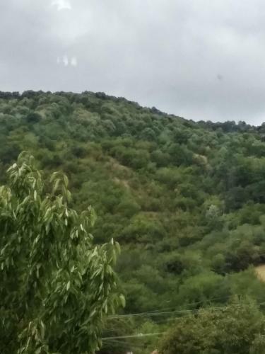 Agroturismo La Conac