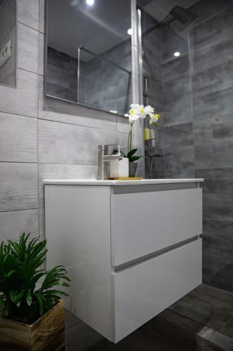 Apartament Serban