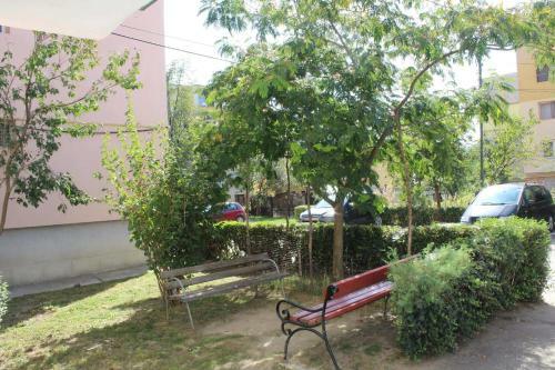 Apartament Anca