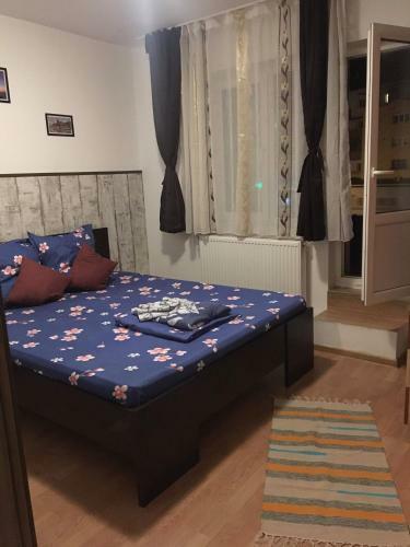 Apartament Anca