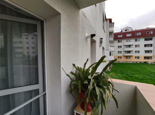 Apartament Daniel