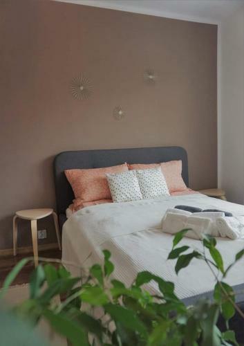 Cozy Apart Toplita