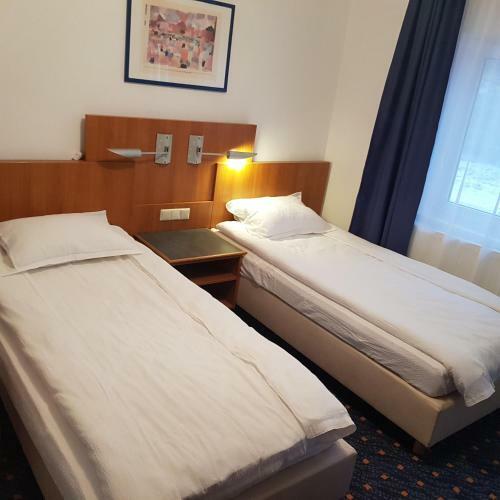 Hostal Pensiunea Cristina