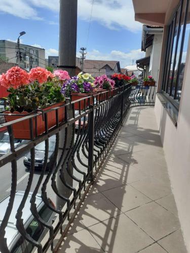 Apartament David