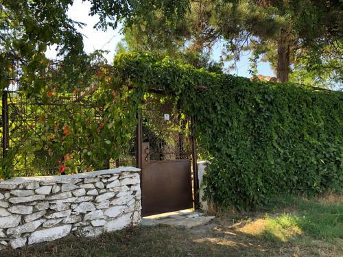Hostal Grauri Si Smochini