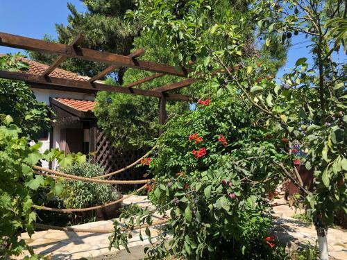 Hostal Grauri Si Smochini