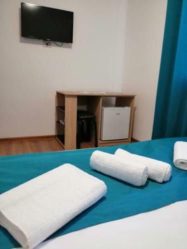 Hostal Pensiunea Corina Tulcea